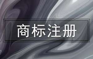 蕪湖公司注冊商標(biāo)需要做哪些準(zhǔn)備工作？